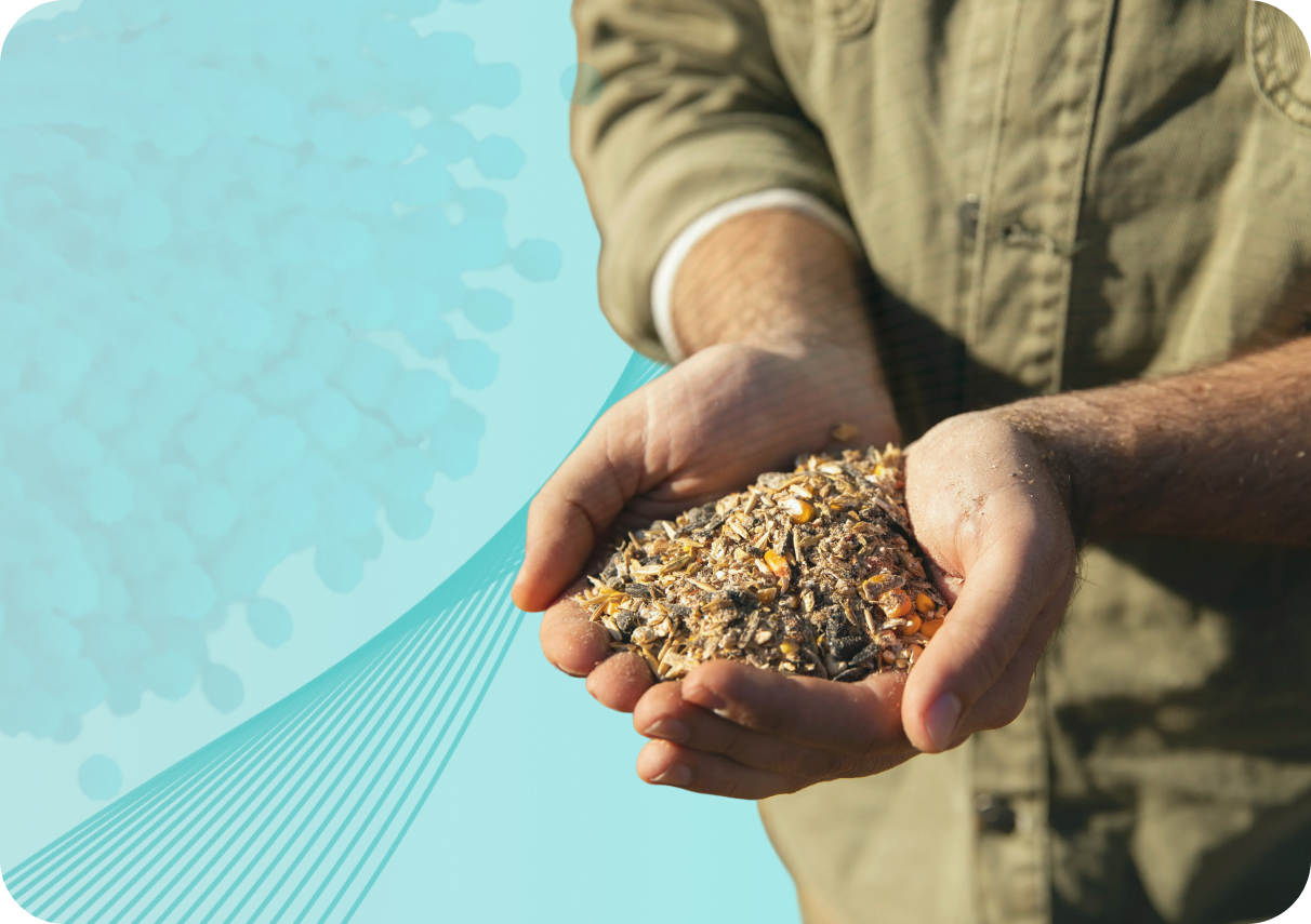 Мікотоксини у кормах: невидима загроза тваринництва